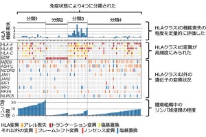 大腸がんが免疫の攻撃を回避する仕組み、国がんなどが解明