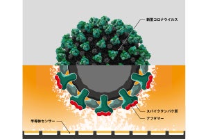 新型コロナを半導体センサとアプタマーで検出するバイオセンサ、東海大などが開発