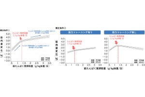 少量のたんぱく質摂取でも筋肉量の増加に効果、明治などが確認