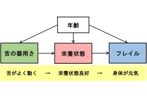 舌がよく動く高齢者は栄養状態もよく身体も元気 - 岡山大が関連性を確認