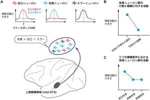 生理研など、他者の予想外の行動に反応するニューロンをサルの脳から発見