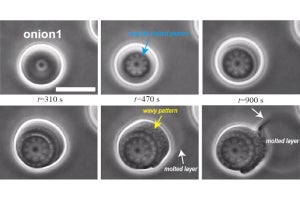 東大生研、界面活性剤が水中で形成する玉ねぎ状構造内に隠れた直線状の欠陥を発見