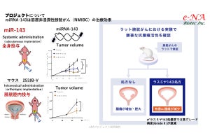 e-NA Biotecが挑む「マイクロRNA医薬」による新たながん治療の方向性