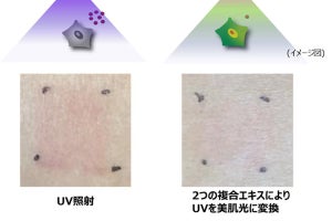 資生堂、紫外線を“肌に良い光”に変換する技術を開発 - R＆D戦略発表会