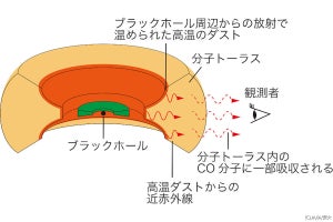 超大質量ブラックホール周囲の分子トーラスの内部構造をすばる望遠鏡の観測で解明