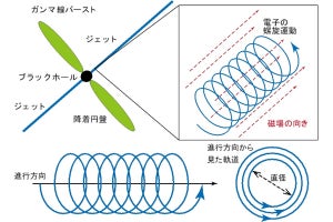 強い磁場の天体のシンクロトロン放射ではガンマ線渦が放射されている、量研などが確認