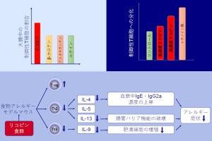 リコピンに食物アレルギーを抑制する可能性、十文字女子大などが発見