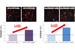 大気汚染物質などの刺激が皮膚を過敏に変化させる可能性、順天堂が確認