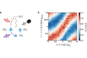 横浜国大、ダイヤ中において電子と光子の幾何学的な量子もつれの生成に成功