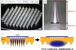 北大病院、マイクロニードルによる皮膚に貼り付けるタイプのワクチンを開発
