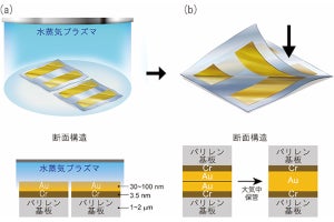 理研など、接着剤なしで高分子フィルム上の金電極同士を直接接続する技術を開発