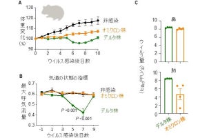 東大、新型コロナ オミクロン株の性状を動物モデルを用いて解明