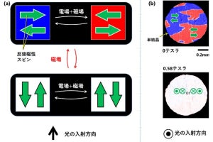 東大、異なる3方向から見たときに光の透過具合が変化する反強磁性体を発見