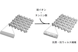 東大、洗濯しても落ちない高付着性の抗菌・抗ウイルスコーティングを開発