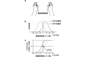 自閉スペクトラム症傾向が強い人では事前の経験が活用されていない、静岡大などが実証