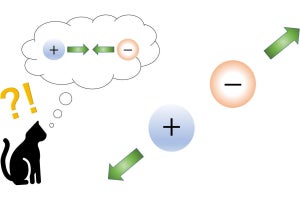 京大など、正負の電荷の粒子間で斥力が働く状況を作り出すことに成功