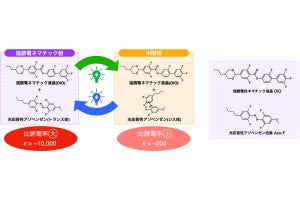 理研、光で強誘電体の比誘電率を簡便かつ可逆に制御できる材料を開発