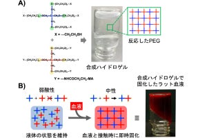 東大、血液に触れると瞬時に固化して止血できる合成ハイドロゲルを開発