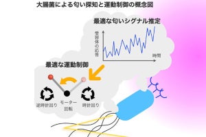 東大が生物の匂い探索戦略の新理論を構築 - 探索ロボットへの応用にも期待