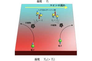 トポロジカル超伝導体の起源となるスピン伝導現象を理論的に解明、阪大など