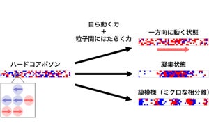 理研、量子スケールでもアクティブマター特有の相転移の発生を理論的に証明