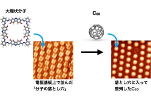 単分子メモリの実現に期待、名大がフラーレンC60を思い通りに整列する技術を開発