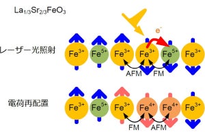 東大、ペロブスカイト型鉄酸化物薄膜の反強磁性磁気構造の高速な変化の観測に成功