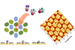 1分子だけを捕捉するナノレベルの穴、熊本大が作製に成功