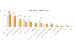 国内大企業がDXパートナーとしてコンサルとSI事業者に注目、IDC調査