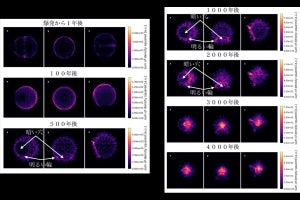 Ia型超新星が白色矮星同士の連星で発生する場合の特徴、東大が解析