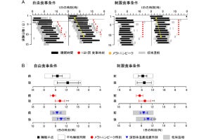 ヒトの睡眠覚醒リズムは食事の時間に同調することを北大が発見