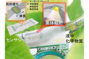 貼り付けるだけで水溶液の濃度を計測、柔らかく伸びる光センサシートで実現