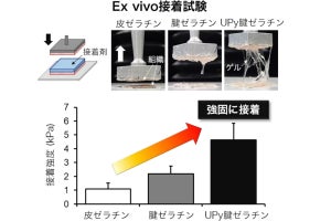 温めて塗るだけで回復手術後の傷を治す医療用接着剤、NIMSが開発