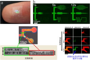 京大、穴を印刷する簡便な手法により微細なマイクロ流路の作製に成功