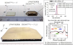 従来以上に高品質なGaN結晶、東北大が作製に成功