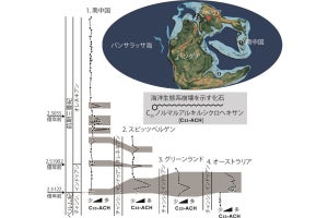 ペルム紀末の大量絶滅が次の前期三畳紀でも再燃した可能性、山口大が発見