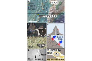 酸化銅ナノ粒子に包まれた始原的な極小微生物、深海底熱水噴出孔から東大などが発見