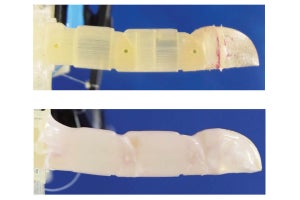 修復能をもつ培養皮膚付き指型ロボットの開発に成功、東京大学