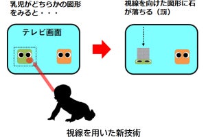 8か月の乳児でも道徳的違反者を罰する行動をとることを阪大などが発見