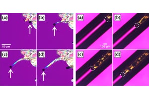 都立大、有機物の細いヒゲ状の「ウィスカー結晶」の成長メカニズムを解明