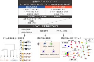 阪大など、自己免疫疾患とアレルギー疾患に共通した遺伝的特徴を発見