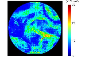 NEDOなど、半導体ウェハ面内の転移分布やひずみ分布を可視化する技術を実用化