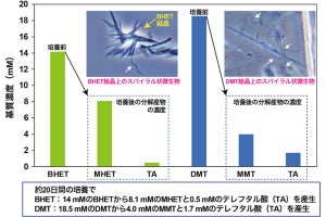 産総研、PETの原料などの難分解性物質を嫌気性環境で分解する微生物を発見