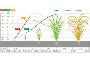 キヤノン、スマート農業の実証実験‐独自のモニタリングシステム活用