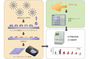 理研など、新型コロナ各変異株の抗体量を8分で自動測定するシステムを開発