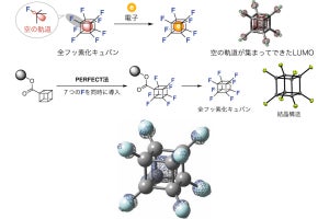 東大など、全頂点にフッ素原子が結合した立方体型分子「全フッ素化キュバン」を合成