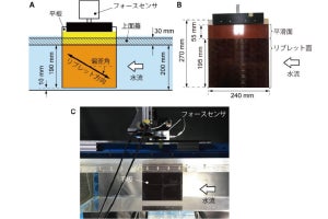 東工大、ペンギンの羽毛が流体摩擦抵抗の低減機能を備えていることを発見