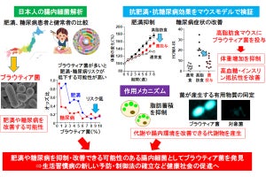 肥満や糖尿病を予防・改善する可能性がある腸内細菌、NIBIOHNを発見