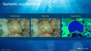 ディープラーニングでサンゴ礁を救え、デル・テクノロジーズらの挑戦