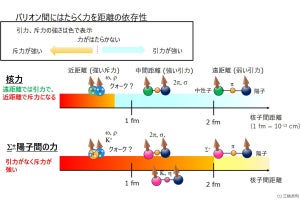 東北大など、クォークの種類によりバリオン粒子同士間の力の変化を確認